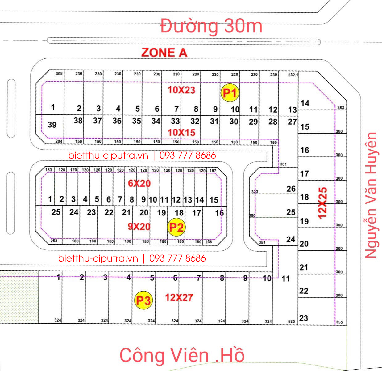 Mặt bằng biệt thự phân khu P Ciputra